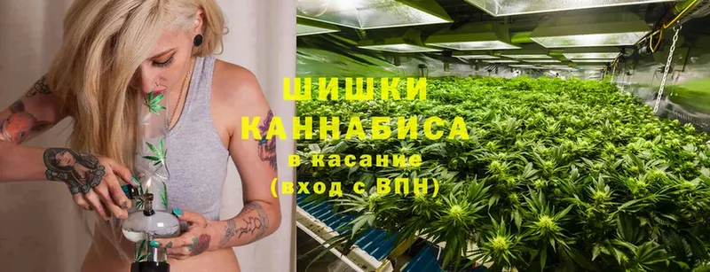 даркнет сайт  Рассказово  Бошки марихуана OG Kush 